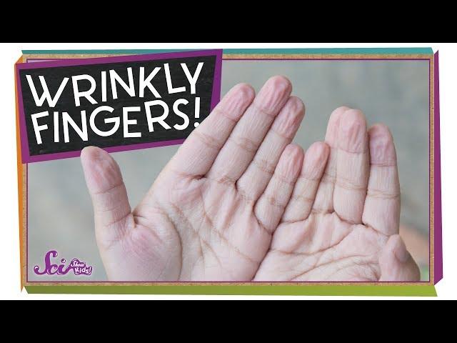 Why Do I Get Wrinkly Fingers in the Bath?