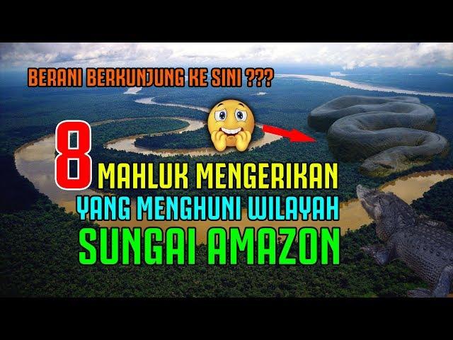 8 MAHLUK MENGERIKAN YANG MENGUASAI WILAYAH SUNGAI AMAZON 