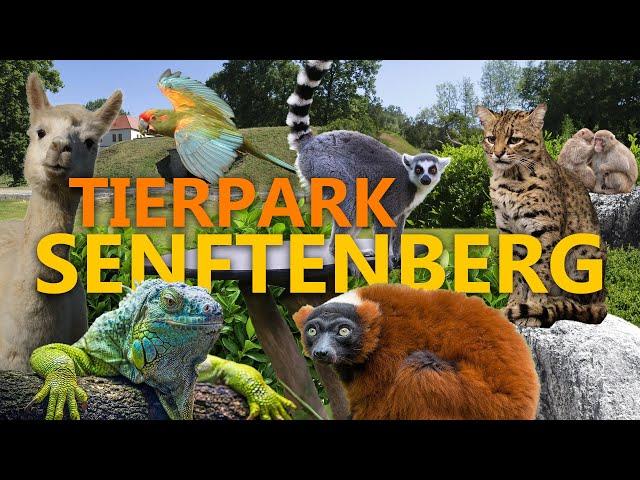 Tierpark Senftenberg: Ein überraschender kleiner Tierpark!