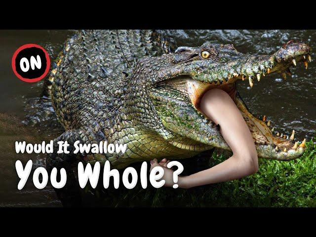 Being Swallowed by a Crocodile