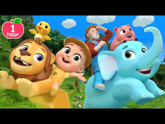 Old MacDonald Had a Farm (Safari Animals) +MORE Lalafun Nursery Rhymes & Animal Songs