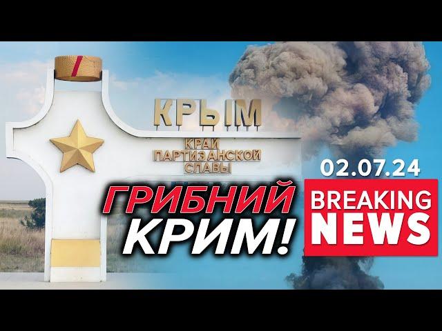 ГРИБНИЙ СЕЗОН В КРИМУ! Окупанти волають, що все збила їхня ПеВеО | Час новинн 12:00 02.07.24