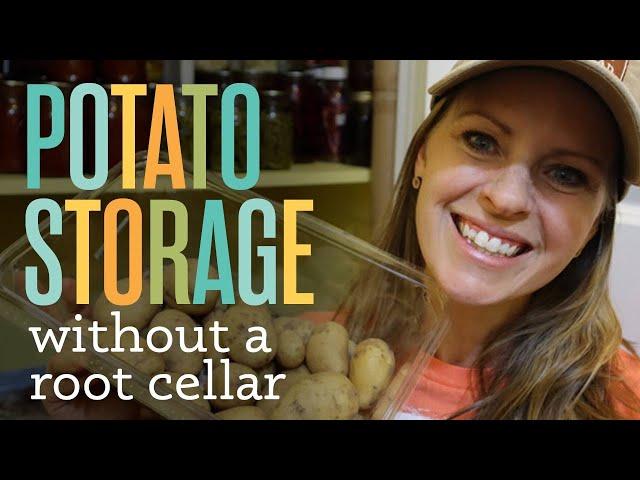 How I store potatoes without a root cellar and which variety lasts the longest.