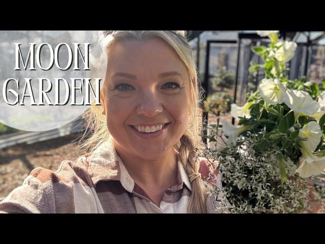 Starting a Moon Garden  Around the Greenhouse! Proven Winners Supertunia, Gaura & Euphorbia!