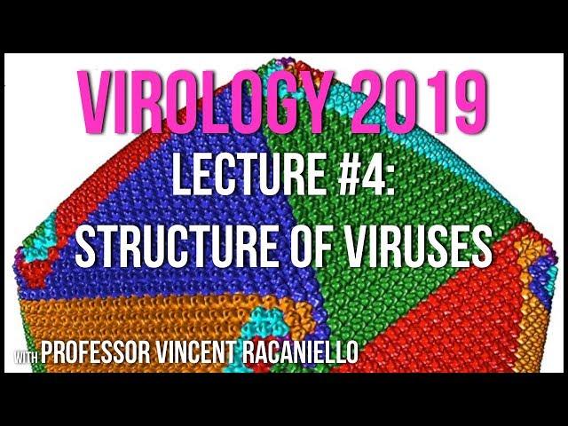 Virology Lectures 2019 #4: Structure of Viruses