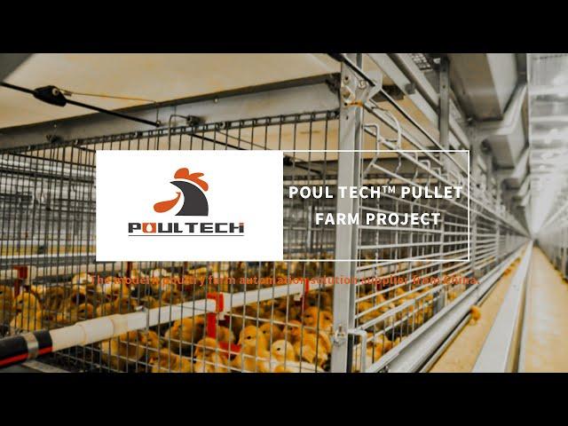 POUL TECH™ Automatic Battery Chicken Pullet Cage Project