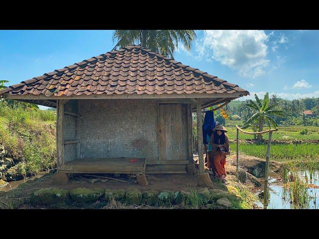 Indonesian Muslim village girl life. Suasana Pedesaan Gadis Desa Sukabumi, Cantik & Pandai Memasak