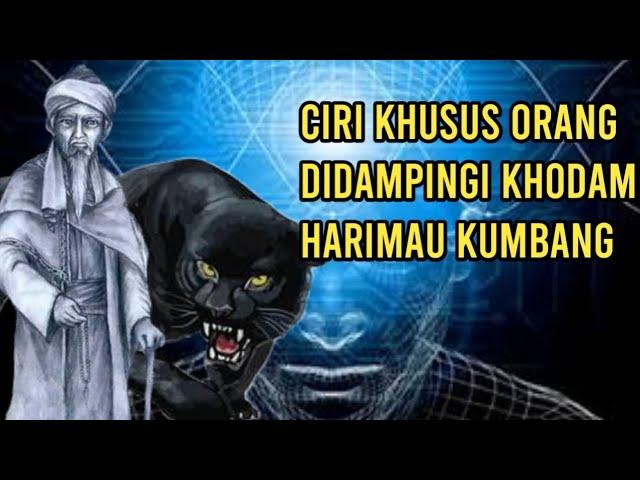 Ciri khusus orang didampingi khodam sakti harimau kumbang