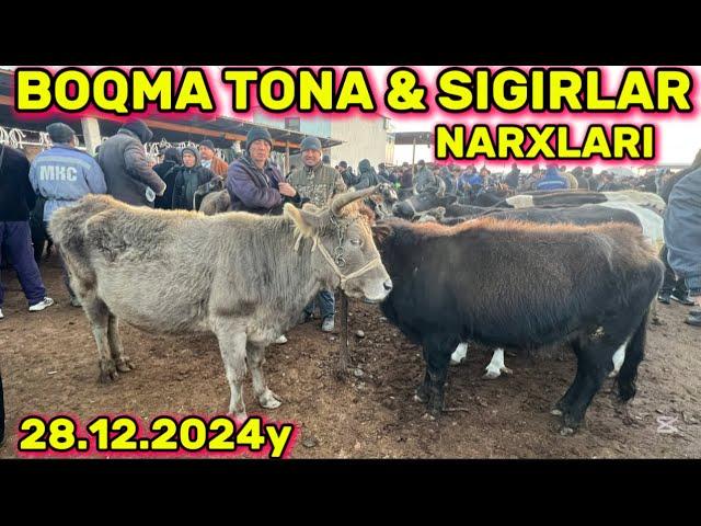 SIGIRLAR VA BOQMA TONALAR NARXLARI 28.12.2024y