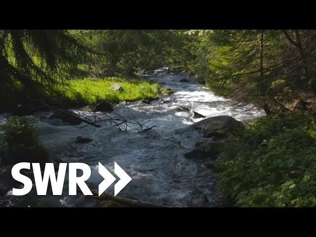 Südtirol, Gardasee, Adria - die Etsch | SWR Geschichte & Entdeckungen