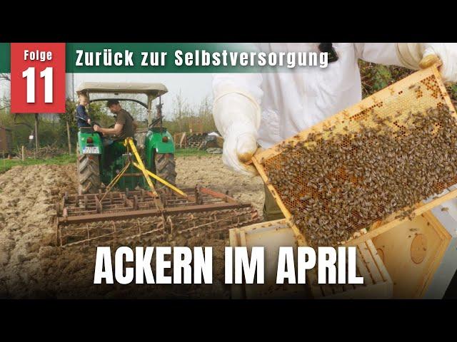 Self-sufficiency in March & April – bees, soil cultivation & first vegetable planting in the open...