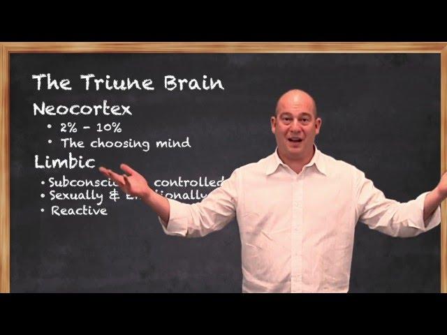 The Triune Brain Theory