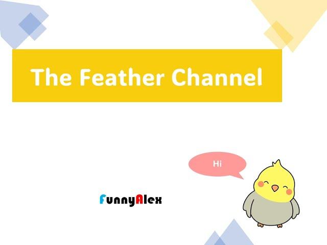 Trailer - The Feather Channel