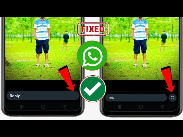 WhatsApp Status Like Option New Update | How To Fix Whatsapp Status Like Option Not Showing