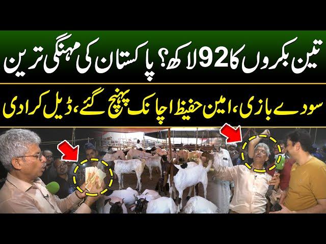 Biggest Deal in Lahore Cattle Market | 92 Lakhs of 3 Goats ? Bakra Eid 2024 | Lahore Mandi Update