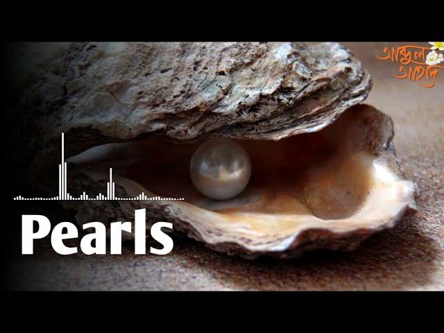 Best Arabic Nasheed // Pearls / A Ahad