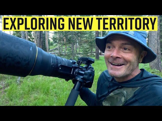 I Found 3 Subjects To Photograph In Some New Territory - Wildlife Photography Vlog in The Tetons