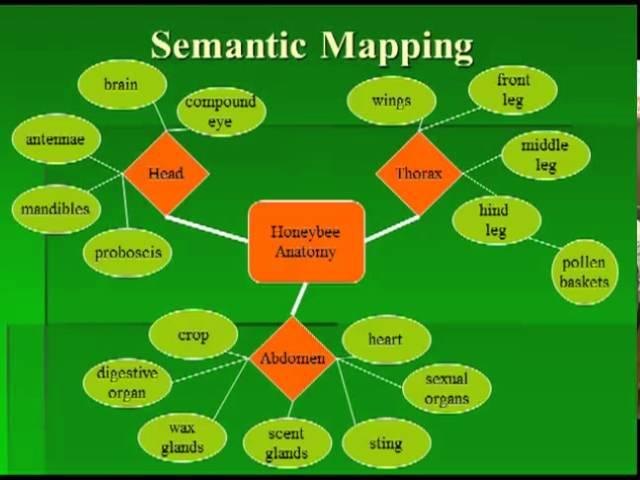 Teaching Technical Vocabulary - Ruth Cipolla