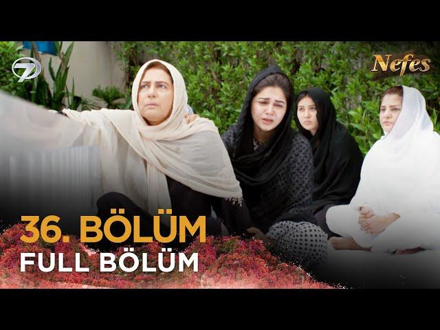 Nefes - Siyani | Pakistan Dizisi  36. Bölüm  @kanal7