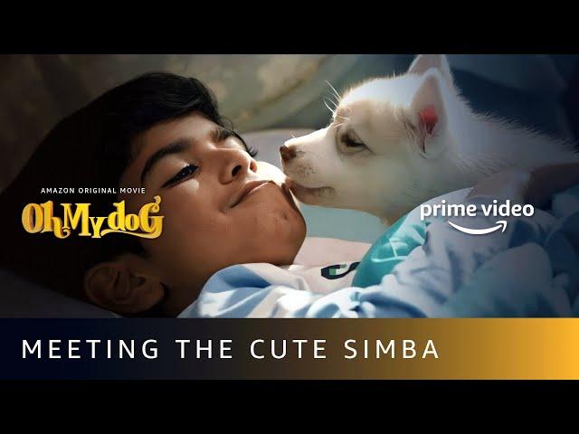 Arnav Vijay Meets The Cutest Dog Simba | Oh My Dog | Amazon Prime Video