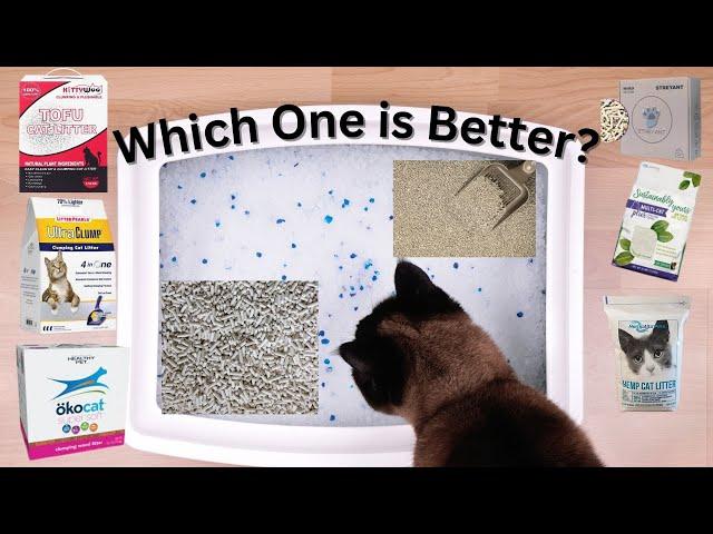 Best Cat Litter For Multiple Cats (Extremely Thoroughly Tested)