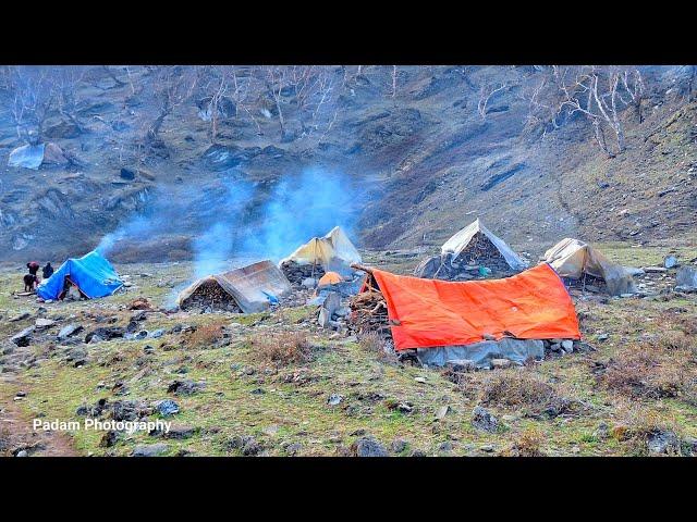 Himalayan Village Life | Dolpa | Nepal | Yarsagumba Hunter | Village Food | Best Compilation Video |