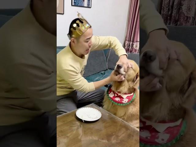 Si Mao just eats and turns off the lights while eating, his cute pet’s debut plan Douyin Animal Ill