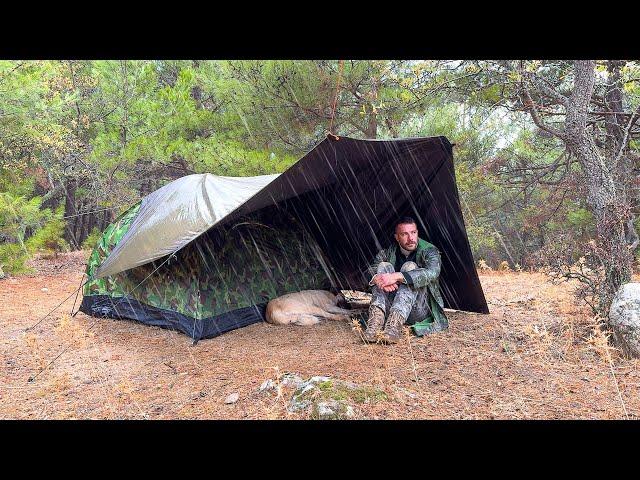 Camping in Rain with My Dog! - Cooking in Tent, Relaxing Rain Sounds, Rain Camping