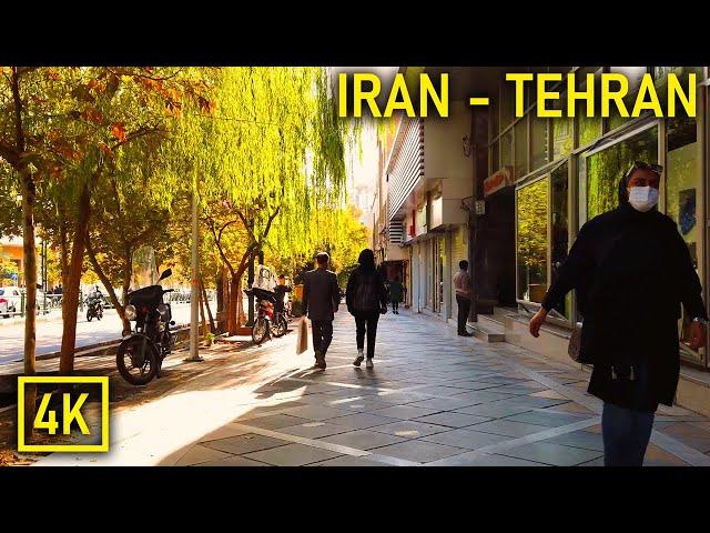 Walking in Tehran 4K - Valiasr Street | تهران - خیابان ولیعصر (خیابان بهشتی تا خیابان فاطمی)