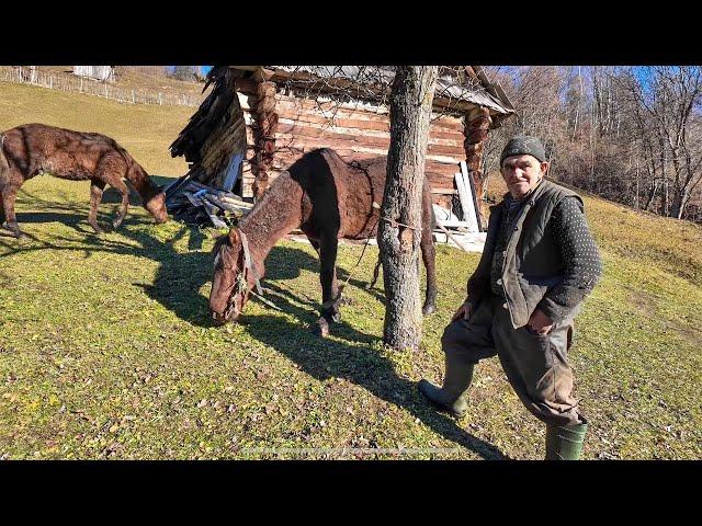 A hard life in a mountain village: The continuation of the story of the lonely worker Vasyl