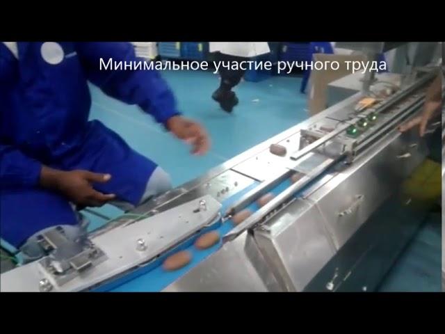 Автоматическая упаковочная линия ФЛОУ-ПАК с устройством подачи продукта