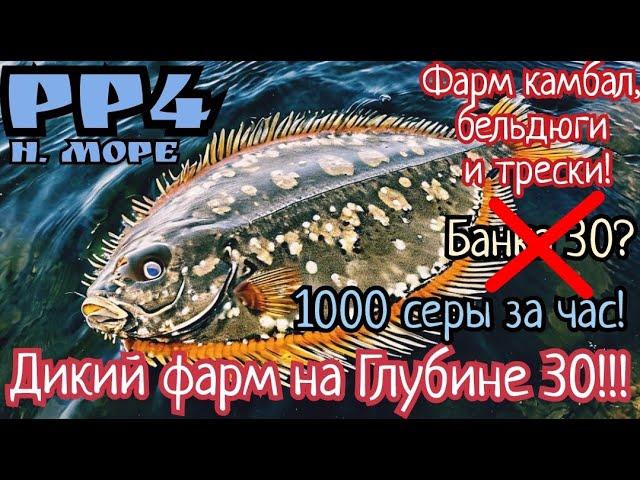 РР4. Мега ФАРМ не на банке а на глубине 30 Норвежского моря! 1000 серебра за час! Трофей Бельдюги!