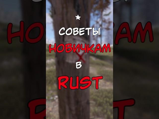 СОВЕТЫ НОВИЧКАМ В РАСТ / RUST #раст #rustshorts #rustобновление #rustnews #rust