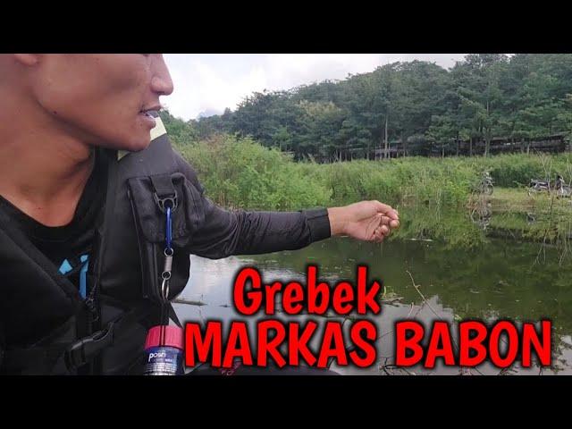 Nila Babon Waduk gunung rowo #mancing #viral