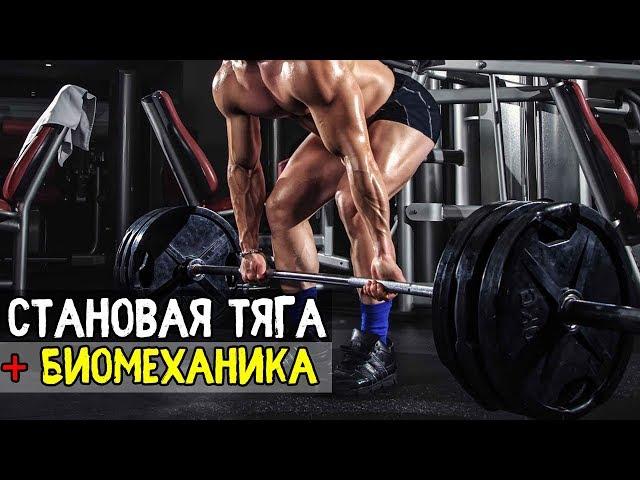 СТАНОВАЯ ТЯГА. Техника. Ошибки. Нужно ли делать. БИОМЕХАНИКА