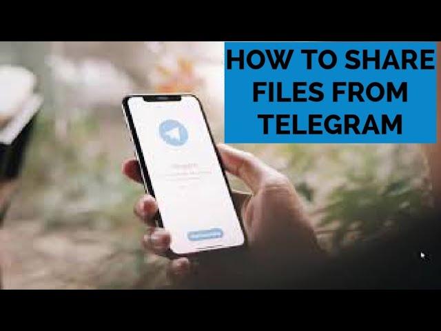 Sharing files from Telegram to WhatsApp