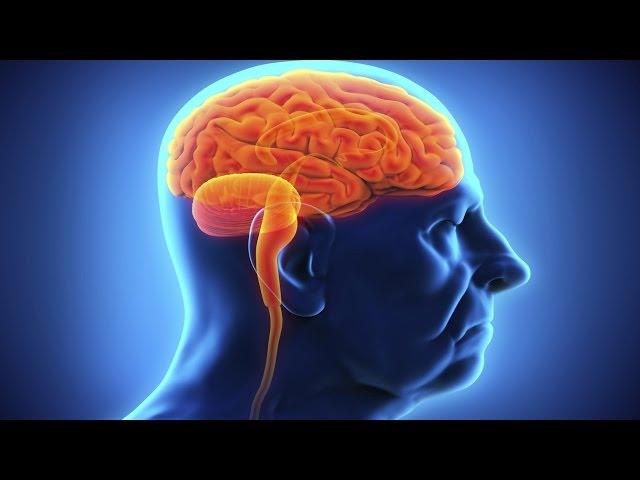 ¿Qué ocurre en el cerebro de un adicto?