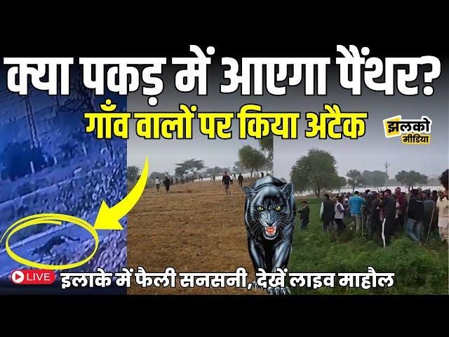 Sikar में Nawalgarh Road के पास जंगली जानवर ने फैलाया आतंक, Live देखें खौफ का माहौल