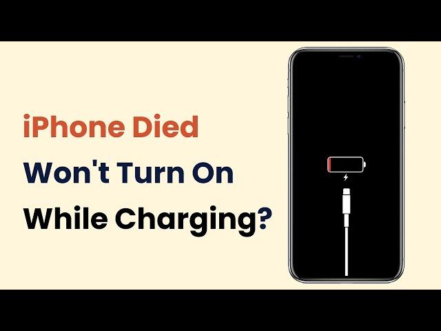 [2024 Tutorial Guide] iPhone Died and Won't Turn On While Charging? 5 Real Methods to Fix It!