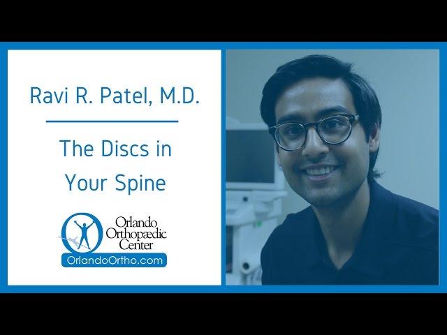 The Discs in Your Spine | Ravi R. Patel, M.D.