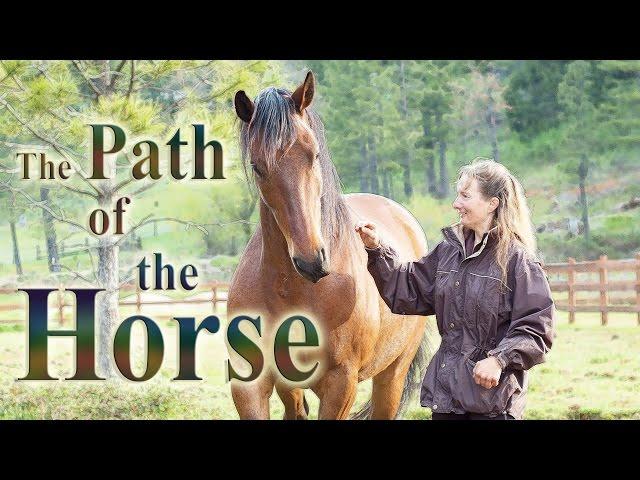 The Path of the Horse - Full Length documentary