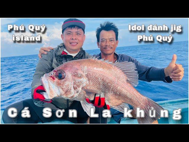Tập 2 câu cá hòn Hải Phú Quý quá nhiều cá Sơn La khủng  , Fishing on Hon Hai Phu Quy island ( 2024 )