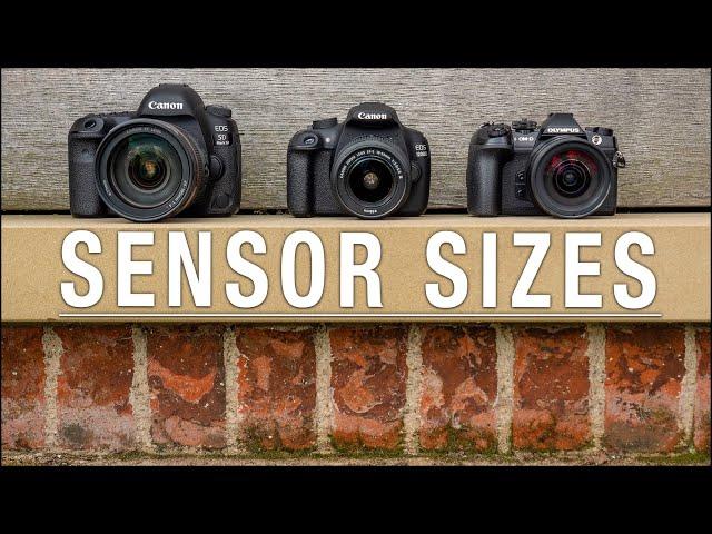 Camera Sensor Size Comparison – Which one is right for YOU?
