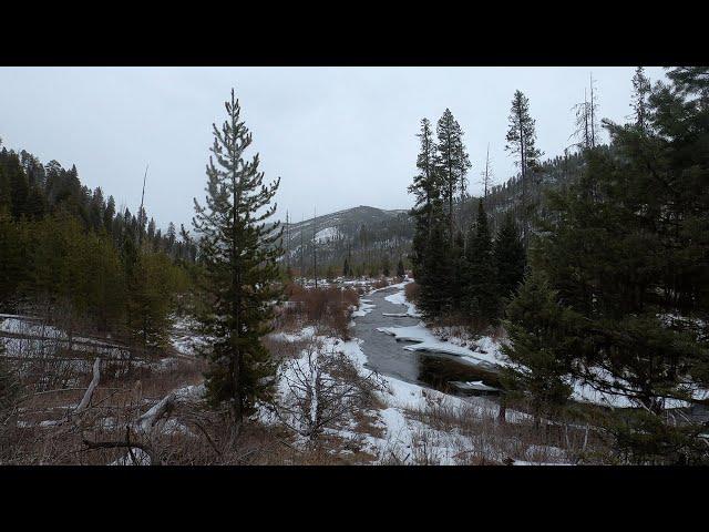 Camping in Montana's Winter | East Fork of the Bitterroot River | Short Winter Adventure