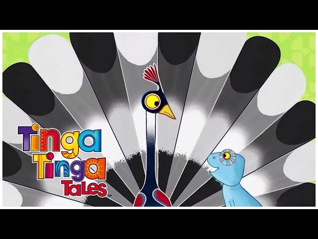 Why Peacock Struts? | Tinga Tinga Tales Official | Full Episode | Kids Cartoons