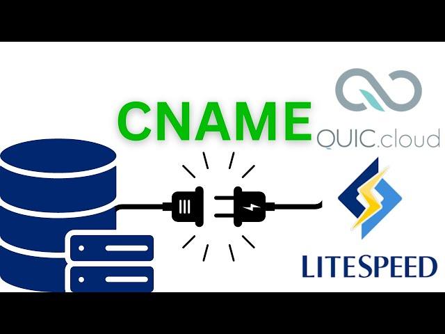 How to connect Quic Cloud CDN + LiteSpeed using a CNAME record 2023