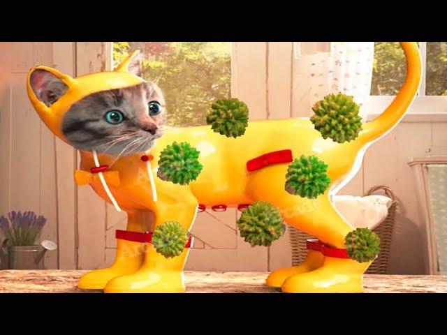 Fun Pet Care Game - Little Kitten Adventures - Play Costume Dress-Up Party Mini Games For Children