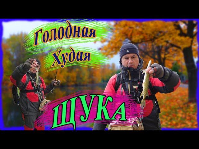 Голодная худая щука. Микроджиг на городских прудах