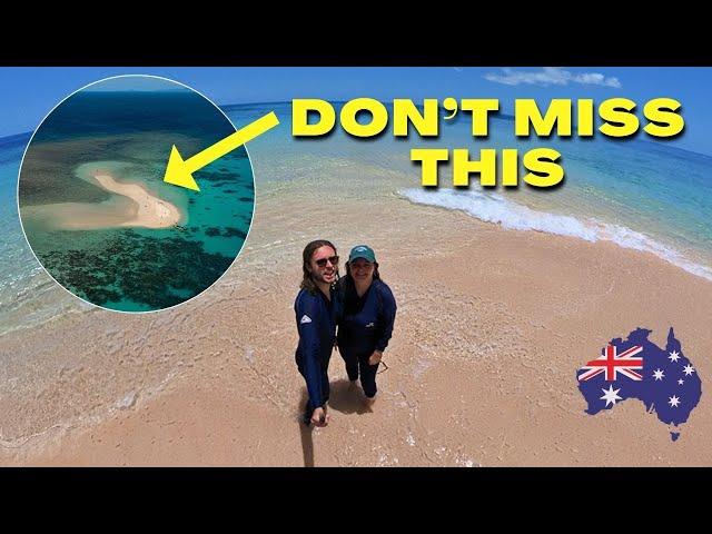 CAIRNS AUSTRALIA: 2024 TRAVEL GUIDE (Top things to do in Cairns)