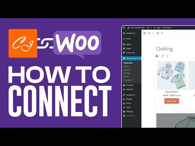 How To Connect CJ Dropshipping To Woocommerce in 2024